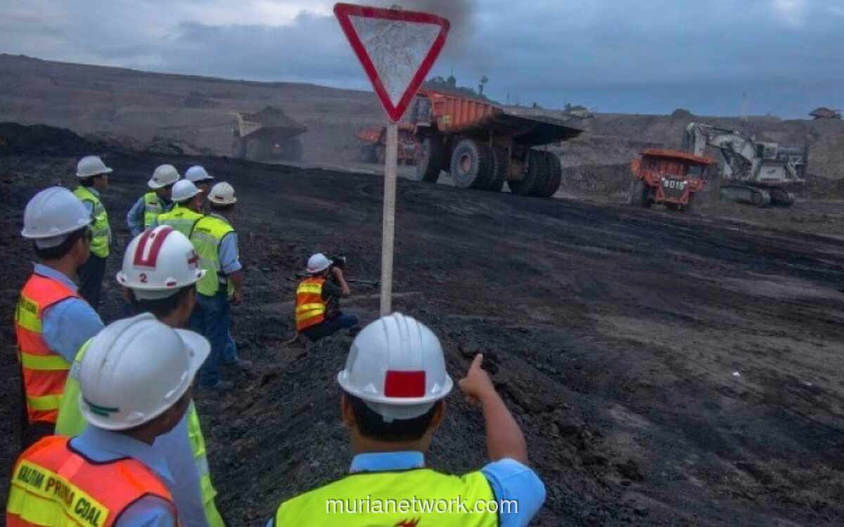 Saham BUMI Melonjak 9%, Akuisisi Tambang Rp 984 Miliar Jadi Katalis