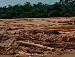 Dua Desa Porak-Poranda Diterjang Kayu Gelondongan di Tapanuli Selatan