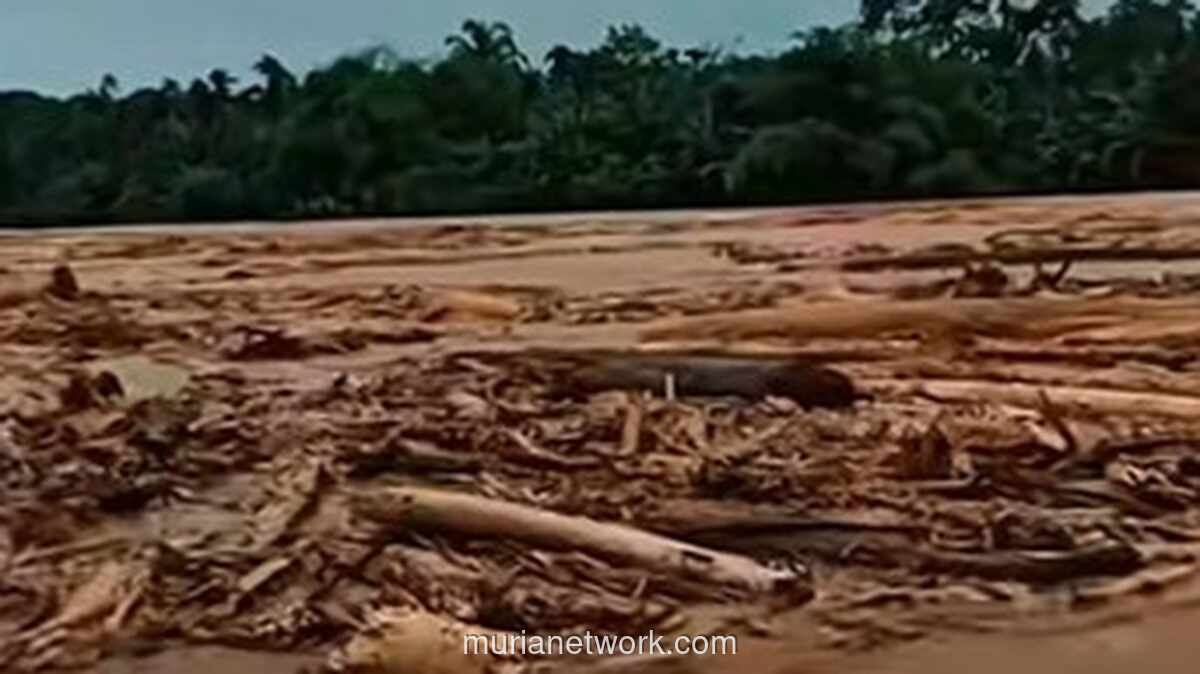 Dua Desa Porak-Poranda Diterjang Kayu Gelondongan di Tapanuli Selatan