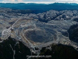 Freeport Pacu Produksi Emas, Targetkan 43 Ton pada 2029