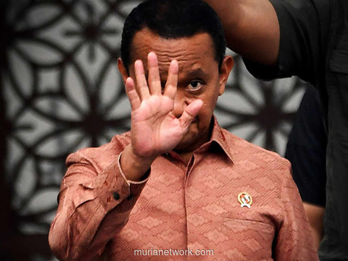 Izin Pasir Kuarsa Jadi Kedok Penambangan Timah Ilegal