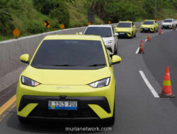 BYD Atto 1 Guncang Pasar, Penjualan Mobil Listrik Melonjak 243%