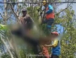 Pemuda Moga Tewas Tersambar Listrik Saat Pangkas Ranting Cengkeh