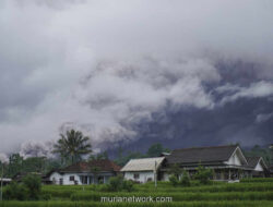Aktivitas Semeru Meningkat, Jalur Pendakian Ditutup Sementara