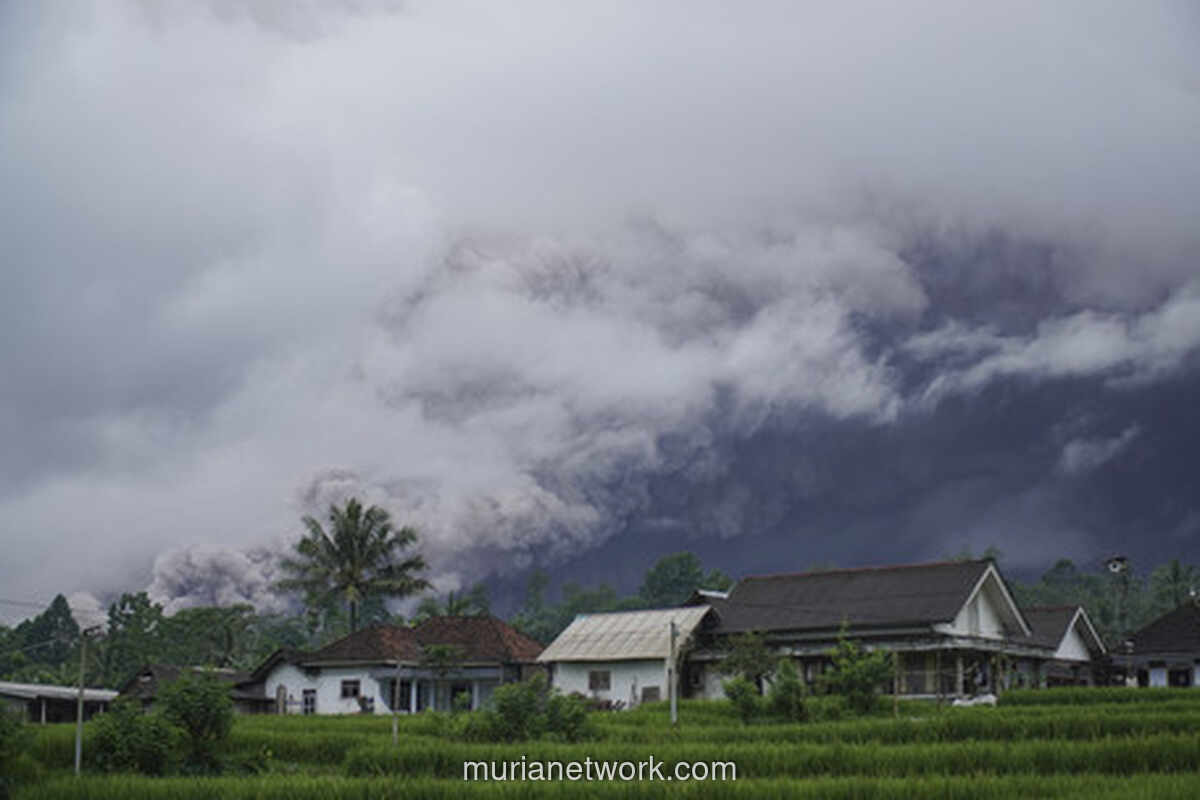 Aktivitas Semeru Meningkat, Jalur Pendakian Ditutup Sementara