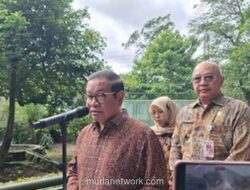 Ragunan Diserbu 40 Ribu Pengunjung, Suasana Malam Jadi Magnet Baru