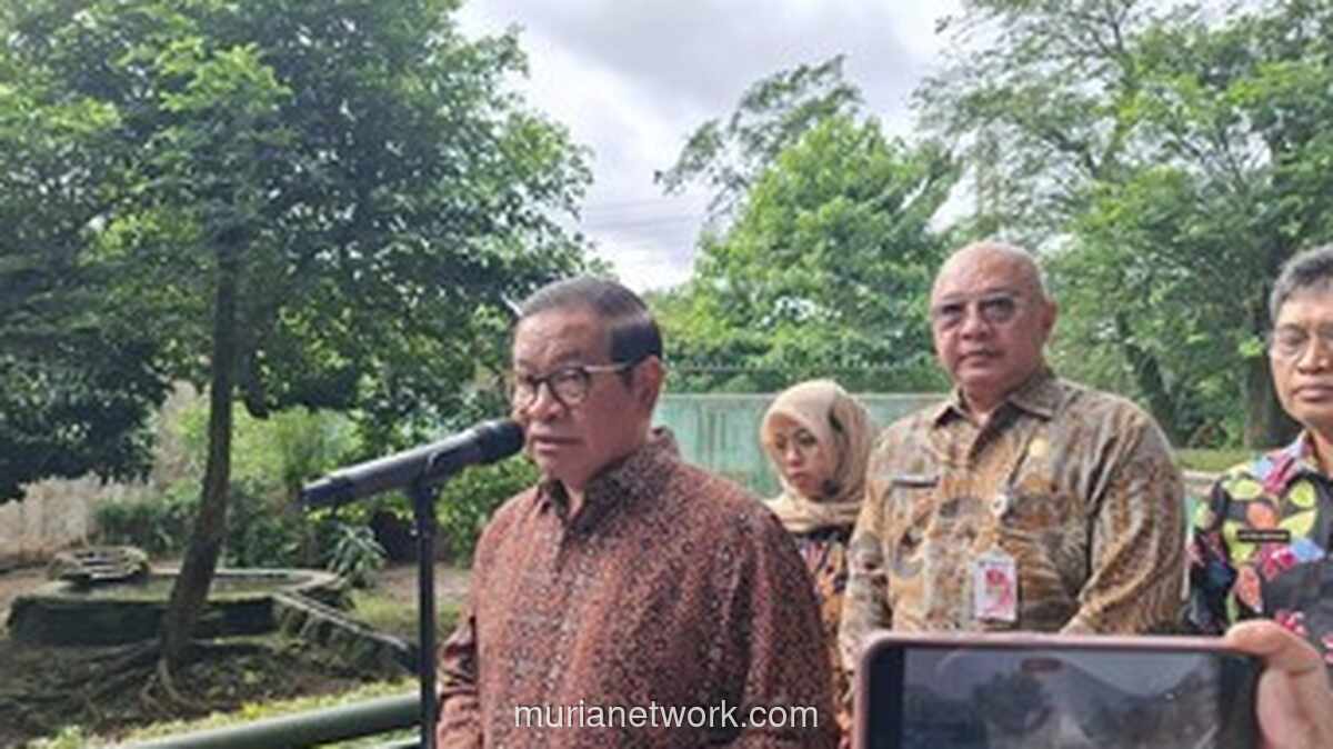 Ragunan Diserbu 40 Ribu Pengunjung, Suasana Malam Jadi Magnet Baru