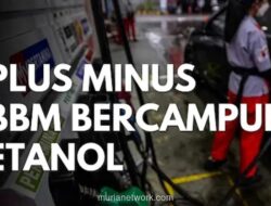 Etanol untuk BBM E10: Perlombaan Waktu yang Tak Boleh Gagal