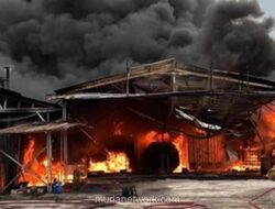 Pabrik Oli di Bogor Ludes Dilahap Api, Tim Damkar Berjibaku Lokalisir Kobaran