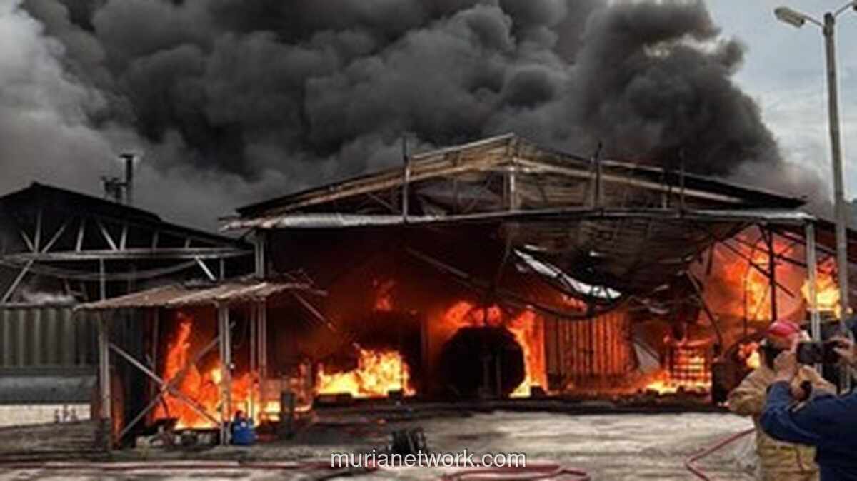 Pabrik Oli di Bogor Ludes Dilahap Api, Tim Damkar Berjibaku Lokalisir Kobaran