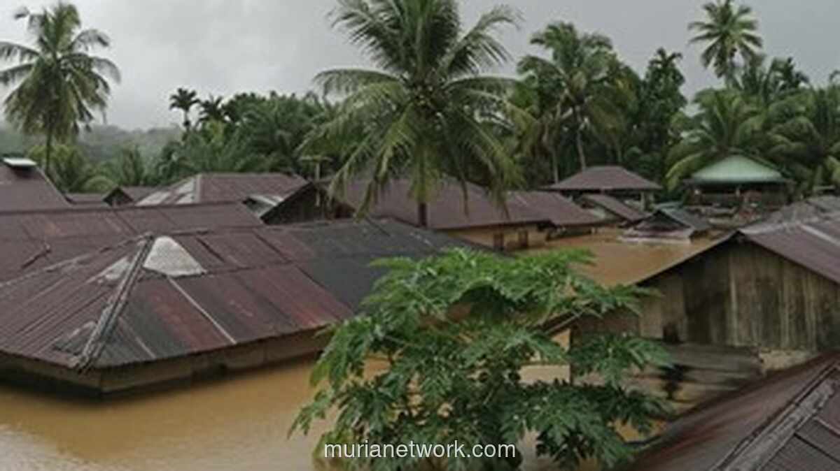 Banjir Setinggi Rumah Rendam Empat Desa di Mandailing Natal