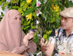 Istri Bongkar Rekaman 2 Jam Insanul Fahmi dan Inara Rusli di Hadapan Denny Sumargo