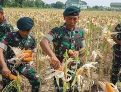 Titiek Soeharto Soroti Peran Strategis TNI dalam Ketahanan Pangan Nasional