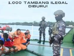 Prabowo Gerakkan Psy War, TNI Hadang Mafia Tambang China di Morowali dan Babel