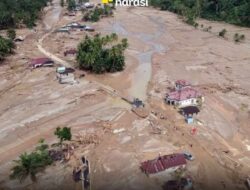 Susi Pudjiastuti Soroti Truk Kayu Gelondongan, Sebut Nama Bos dan Perusahaan di Baliknya