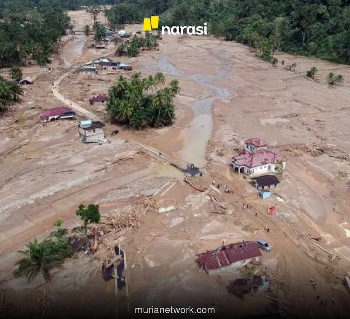Susi Pudjiastuti Soroti Truk Kayu Gelondongan, Sebut Nama Bos dan Perusahaan di Baliknya