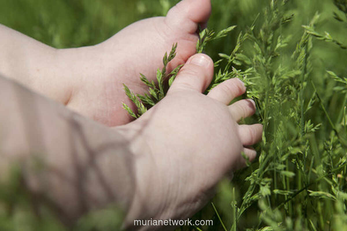 Bocah 4 Tahun di Bandung Tewas Diduga Dianiaya Ibu Tiri