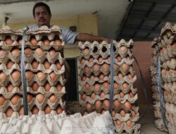 Amran Berang, Satgas Pangan Diminta Cabut Izin hingga Tangkap Middleman Nakal