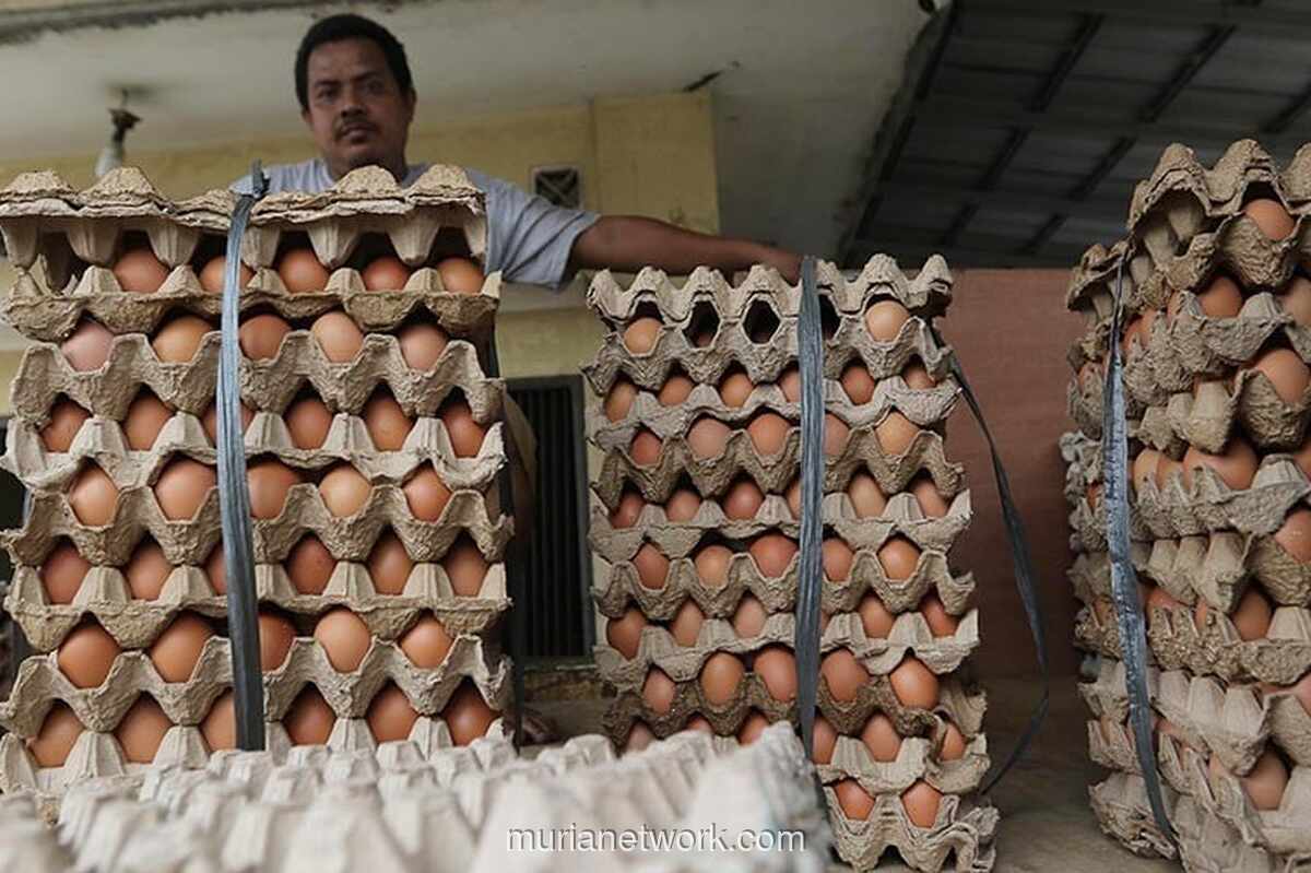 Amran Berang, Satgas Pangan Diminta Cabut Izin hingga Tangkap Middleman Nakal