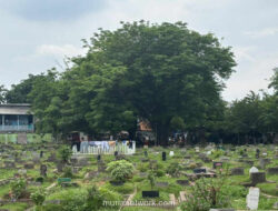 Ibu Kota Darurat Lahan: 119.000 Makam Baru Disediakan untuk Atasi Krisis TPU