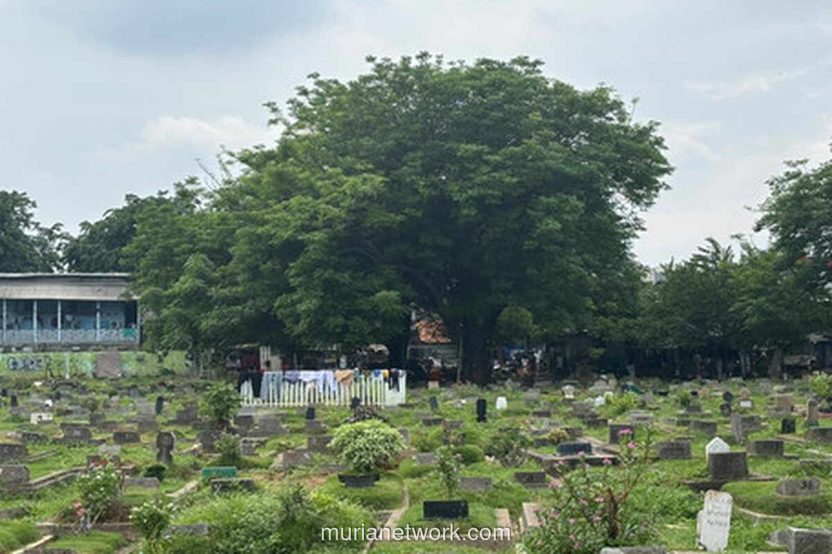 Ibu Kota Darurat Lahan: 119.000 Makam Baru Disediakan untuk Atasi Krisis TPU