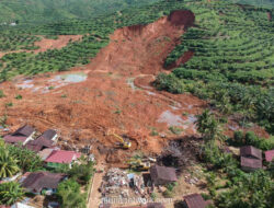 Korban Tewas Banjir-Longsor Sumatera Tembus 442 Jiwa, Sumut Paling Parah