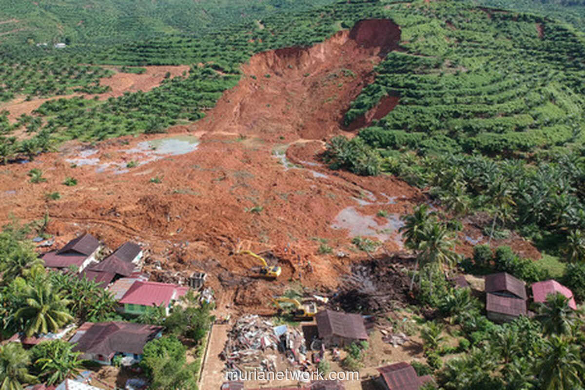 Korban Tewas Banjir-Longsor Sumatera Tembus 442 Jiwa, Sumut Paling Parah