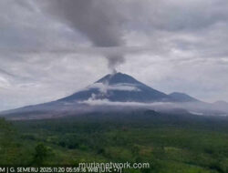 Guguran Lahar Semeru Telan Puluhan Rumah, Evakuasi Terhambat Listrik dan Gelap