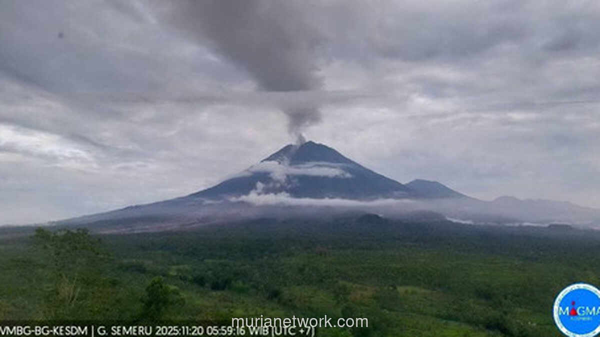 Guguran Lahar Semeru Telan Puluhan Rumah, Evakuasi Terhambat Listrik dan Gelap