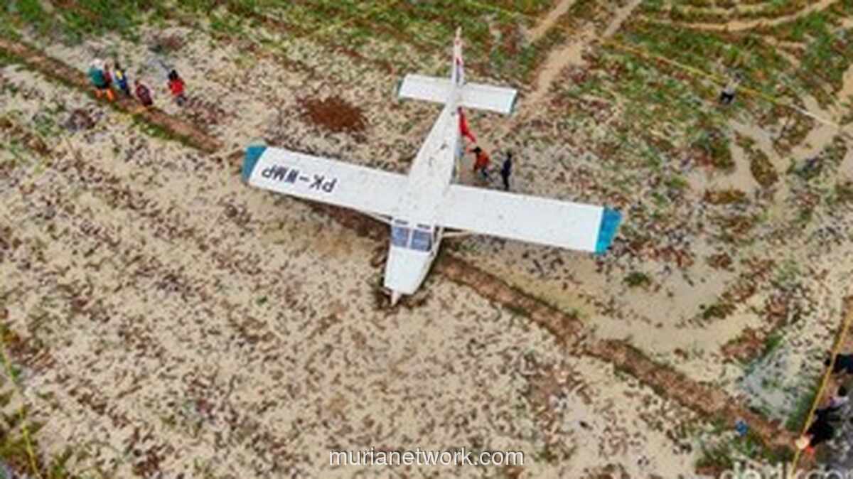 Cessna Terpaksa Turun Darurat di Hamparan Padi Karawang