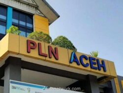 18.000 Ekor Ayam Mati, PLN Digugat Rp 1,7 Miliar Gara-gara Listrik Padam 3 Hari