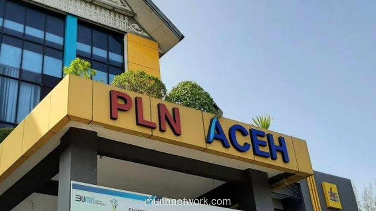 18.000 Ekor Ayam Mati, PLN Digugat Rp 1,7 Miliar Gara-gara Listrik Padam 3 Hari