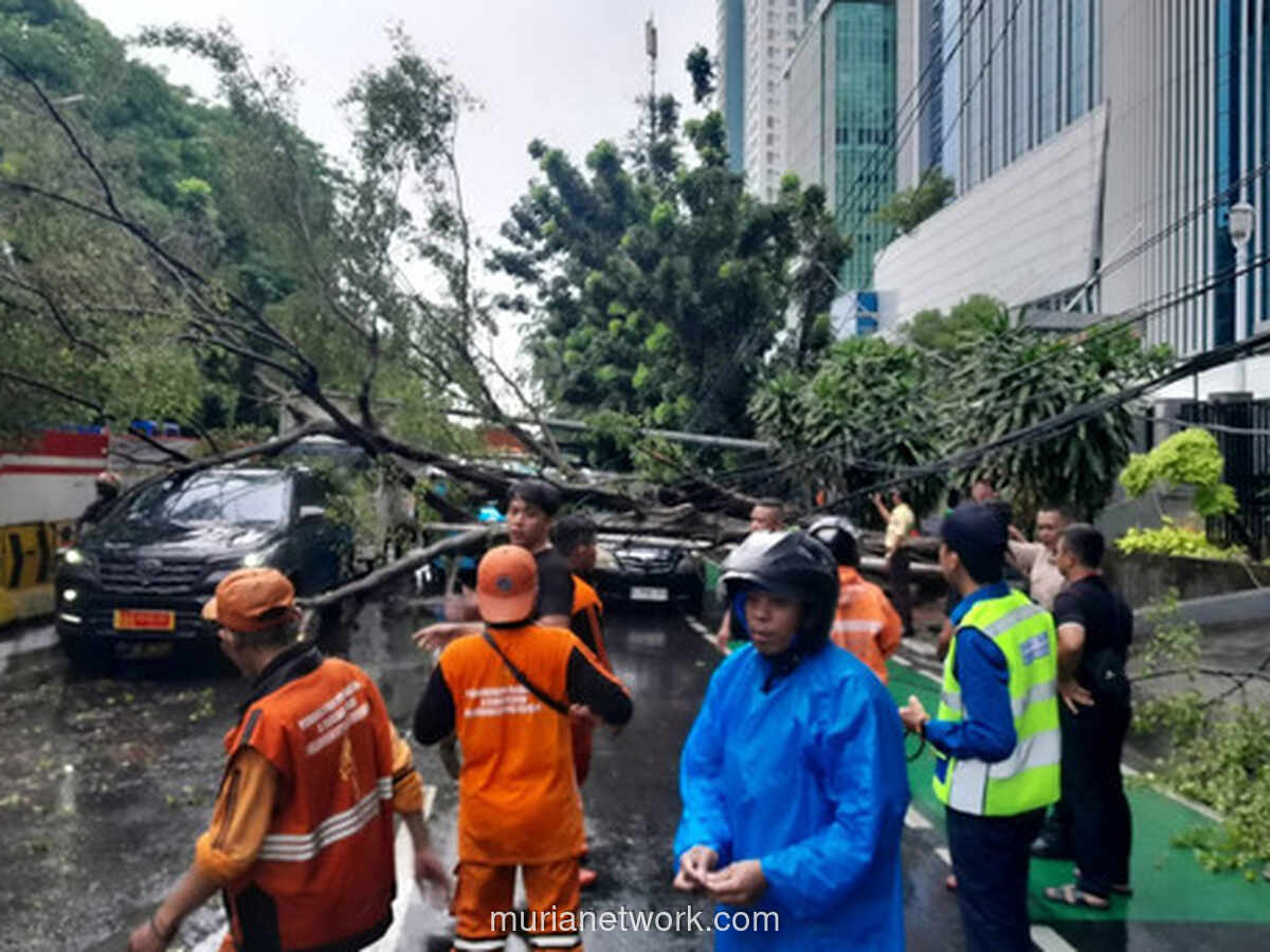 Angin Kencang di Jak Timur, Pohon Beringin Tumbang Timpa Tiga Mobil
