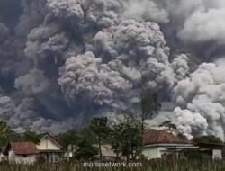 Status Siaga! Gunung Semeru Erupsi, Warga Dievakuasi