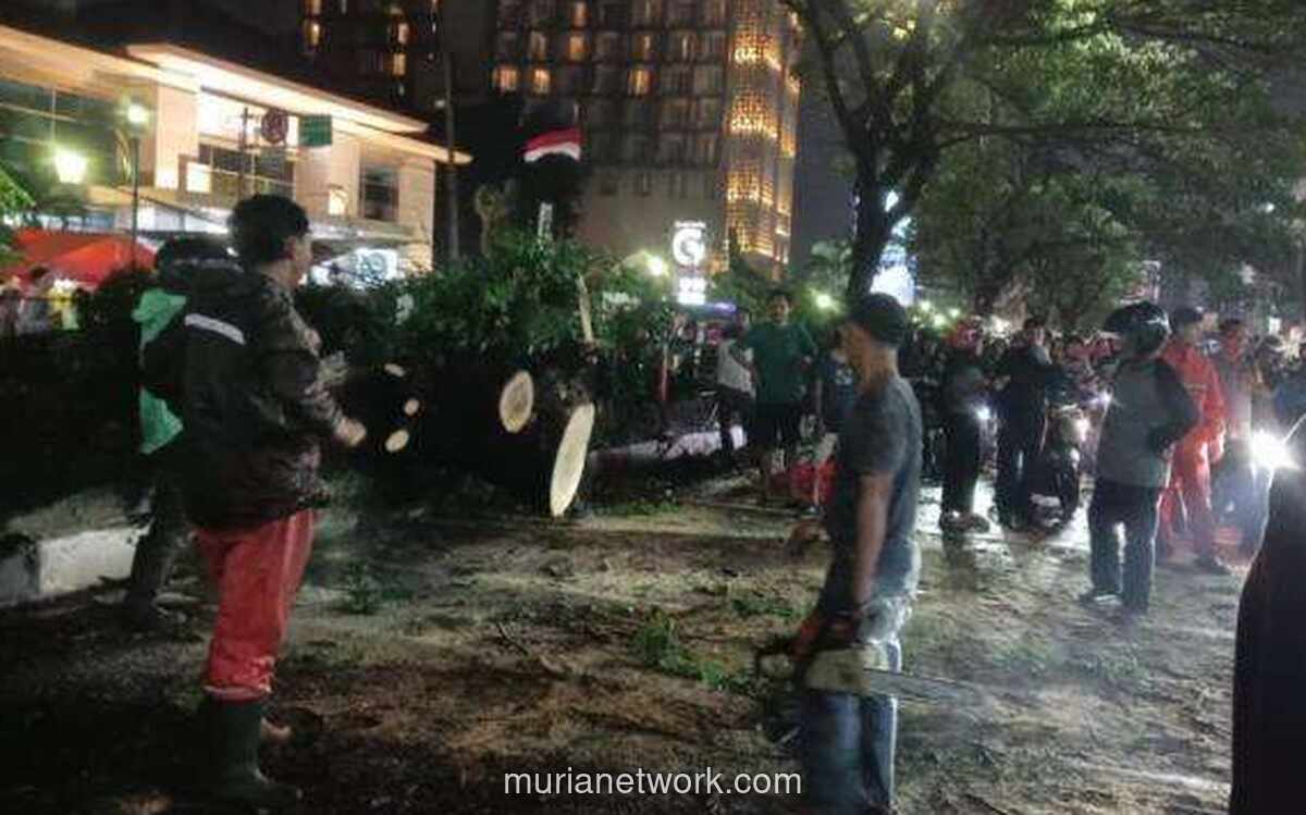 Pemprov DKI Tebang 163 Pohon Bahaya, Ribuan Lainnya Dapat Operasi Khusus