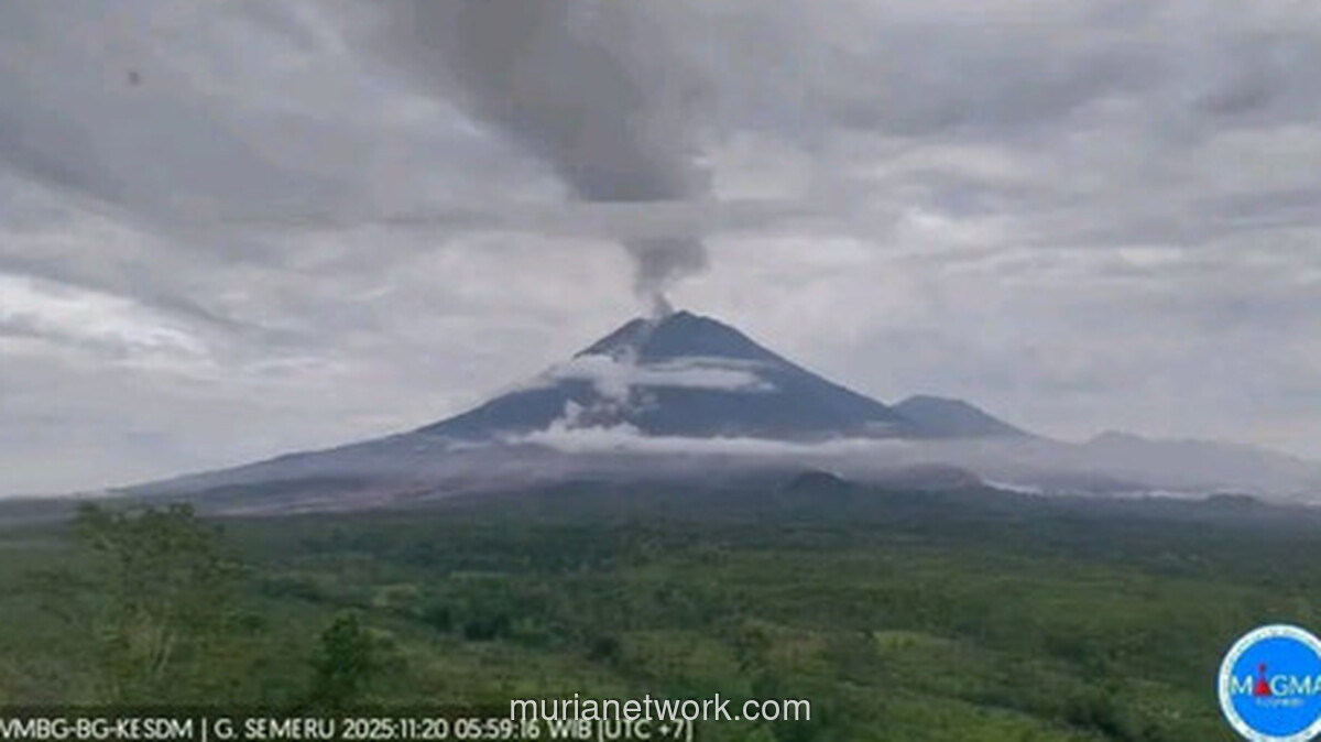 Erupsi Semeru Tak Ganggu Penerbangan, Bandara Sekitar Tetap Normal