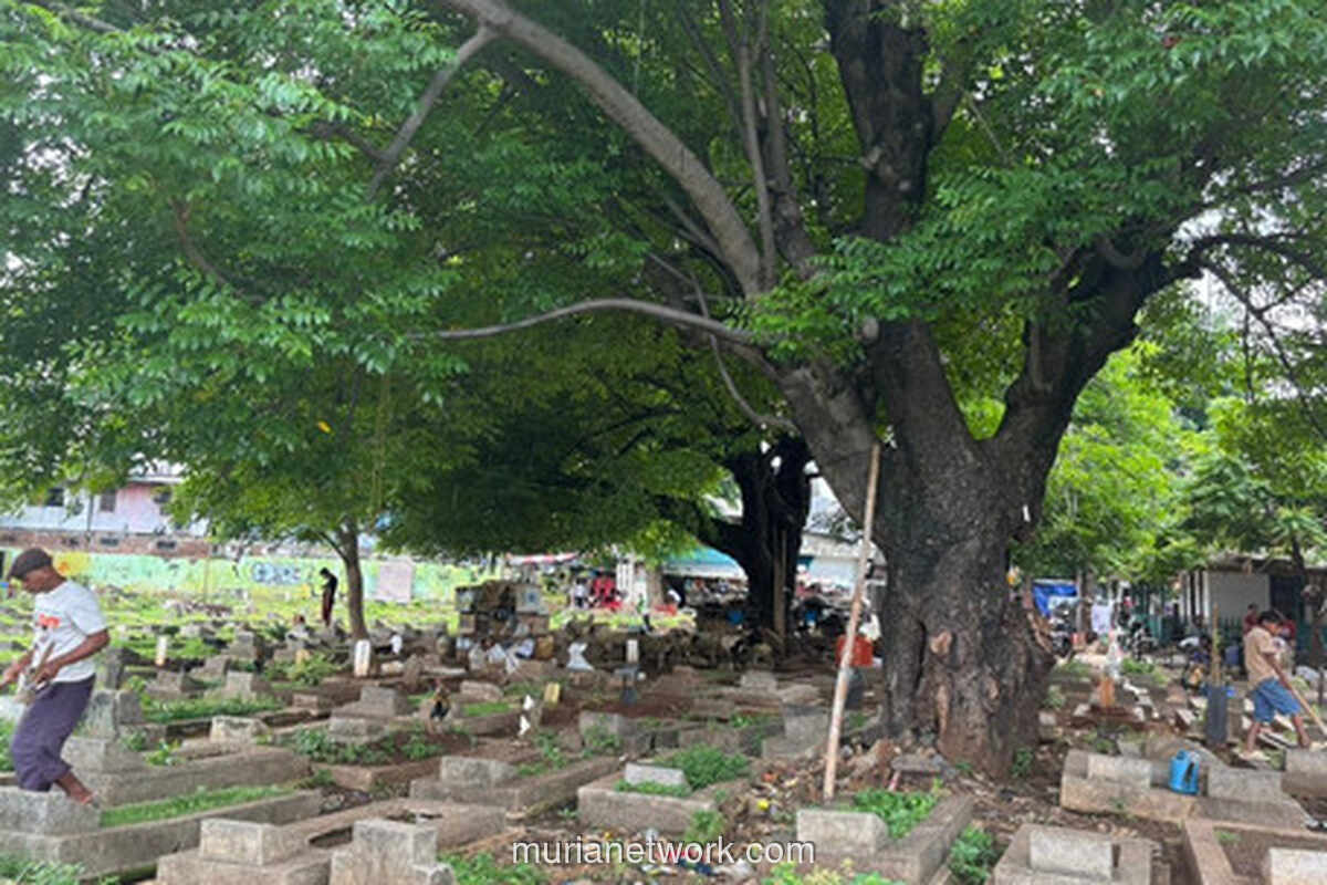 Kehidupan yang Tumbuh di Antara Nisan: Kisah Warga Kober yang Tak Ingin Tinggalkan Rumah Mereka