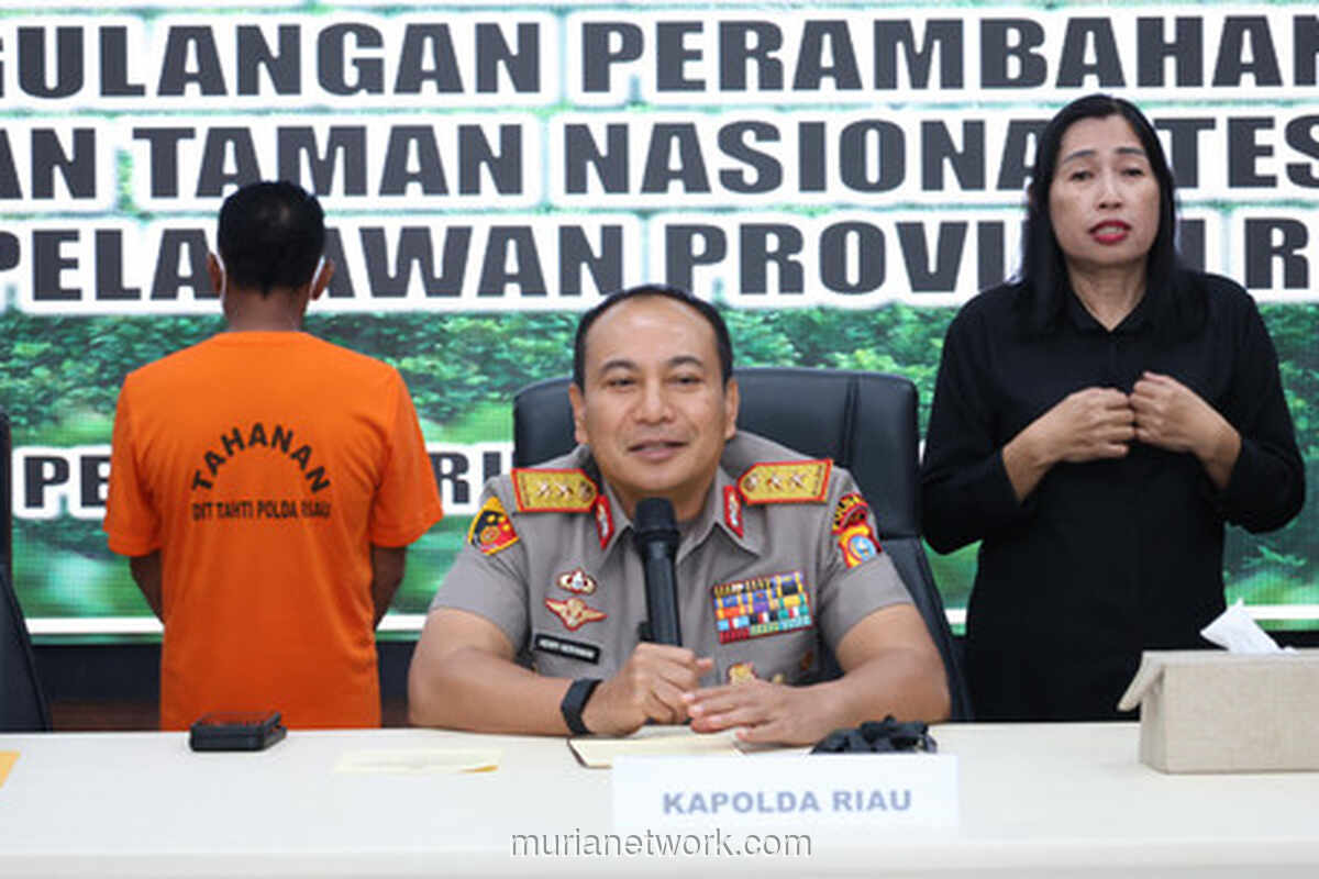 Kapolda Riau Serukan Keadilan bagi Gajah di Tengah Aksi Tolak Relokasi Tesso Nilo