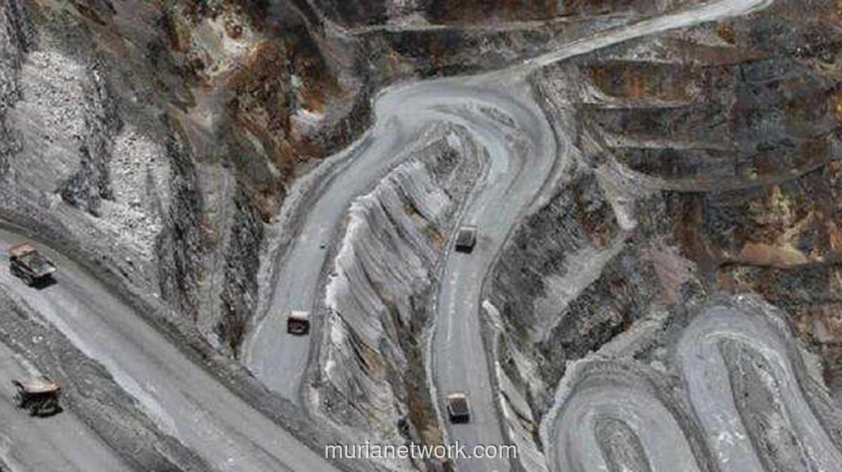 Freeport Bongkar Temuan Raksasa 3 Miliar Ton Bijih di Papua, Tapi...