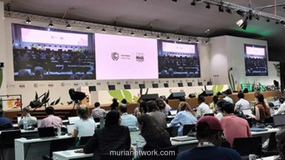 Indonesia Desak Dukungan Nyata untuk Target Adaptasi Iklim di KTT COP30