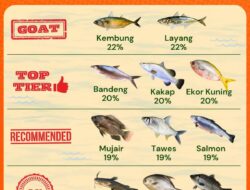 Ikan Kembung dan Layang Kandaskan Salmon dalam Perang Protein