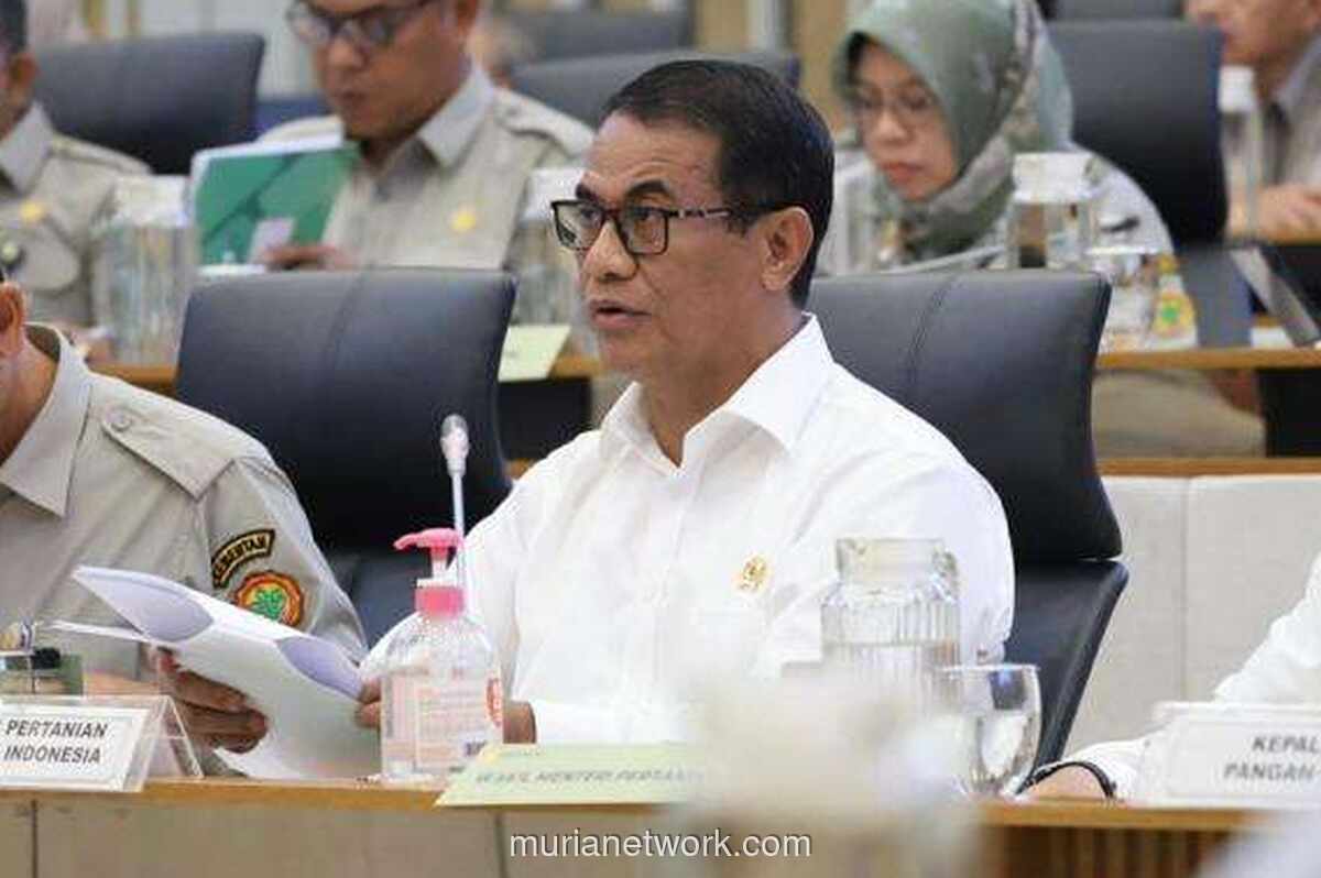 Amran Sulaiman Bongkar Penyebab Serapan Anggaran Kementan Tersendat di Angka 72 Persen