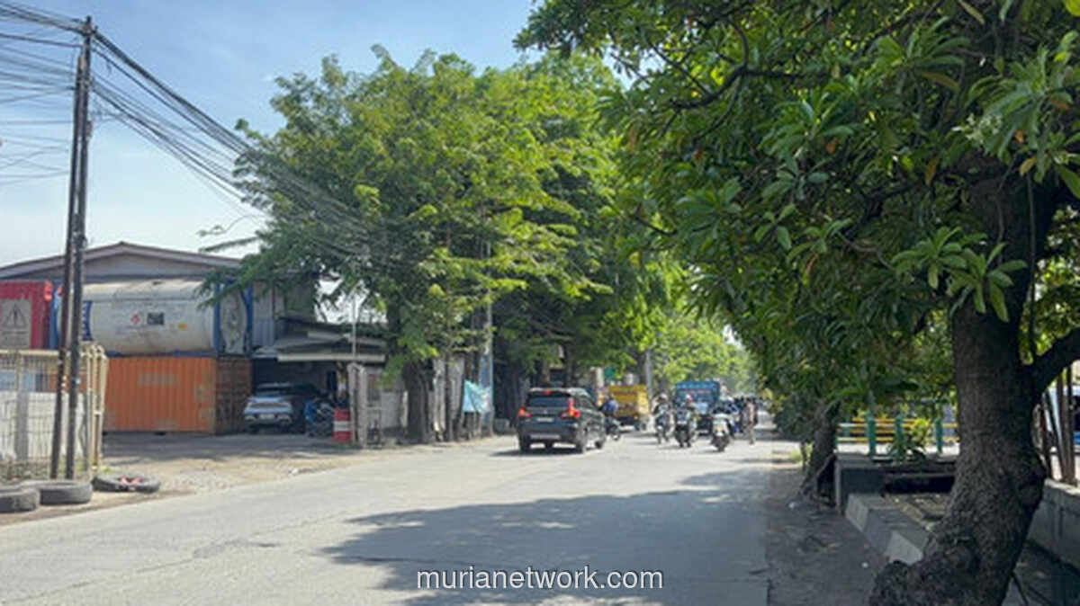 Cilincing Berubah Wajah, Truk-Truk Raksasa Menghilang di Pagi Hari