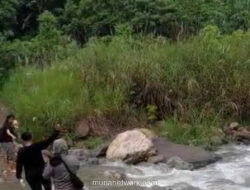 Polri Bongkar Ladang Ganja 51,75 Hektare di Hutan Aceh, Modus Distribusi Lewat Aliran Sungai