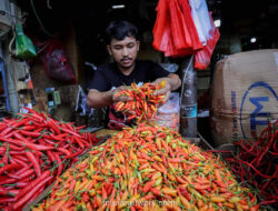 Harga Cabai Rawit Tembus Rp 83 Ribu, Beras Satu-satunya Penyelamat