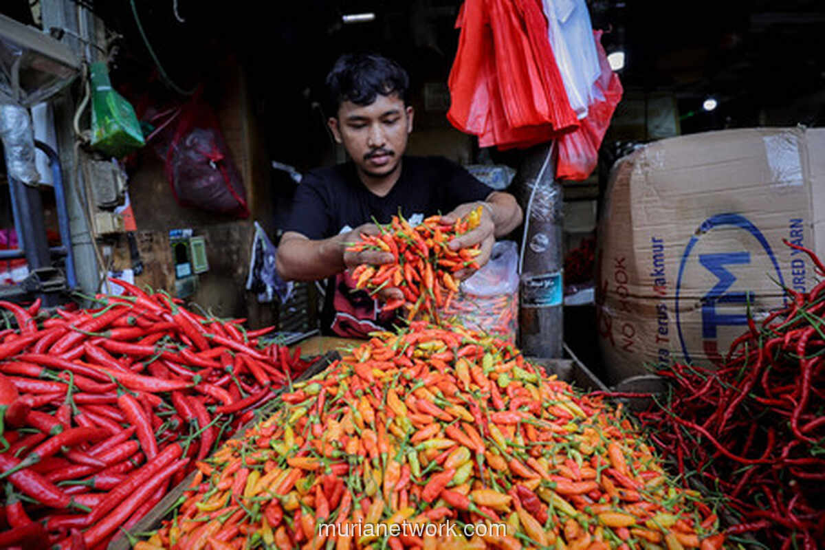 Harga Cabai Rawit Tembus Rp 83 Ribu, Beras Satu-satunya Penyelamat