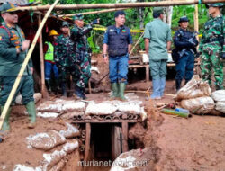 Sunyi di Gunung Peti, 88 Lubang Tambang Ilegal Akhirnya Ditimbun
