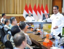 Peternak Buka Suara: Middleman Dalang Lonjakan Harga Telur di Pasaran