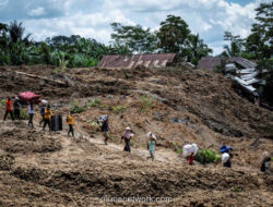 Pencarian Korban Longsor Banjarnegara Dihentikan, Keselamatan Tim SAR Jadi Alasan Utama