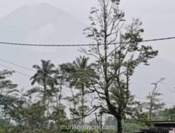 Gunung Semeru Muntahkan Abu Setinggi 600 Meter, Status Darurat Diperpanjang